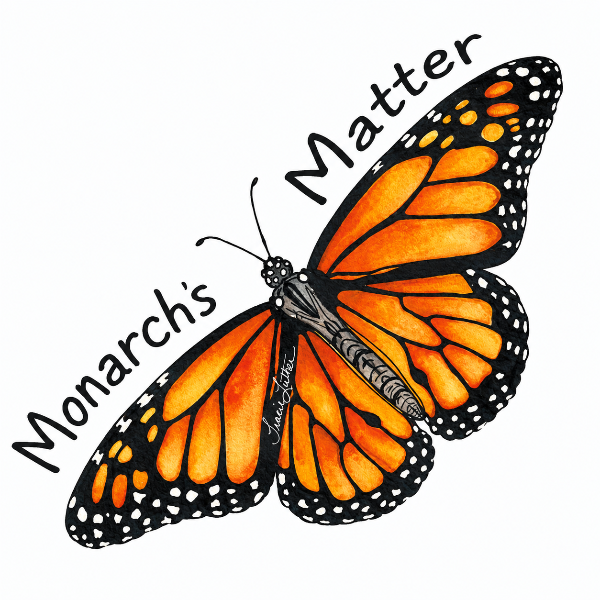 Watercolor monarch butterfly vinyl sticker with vibrant orange wings and the phrase Monarch’s Matter in hand-lettered typography