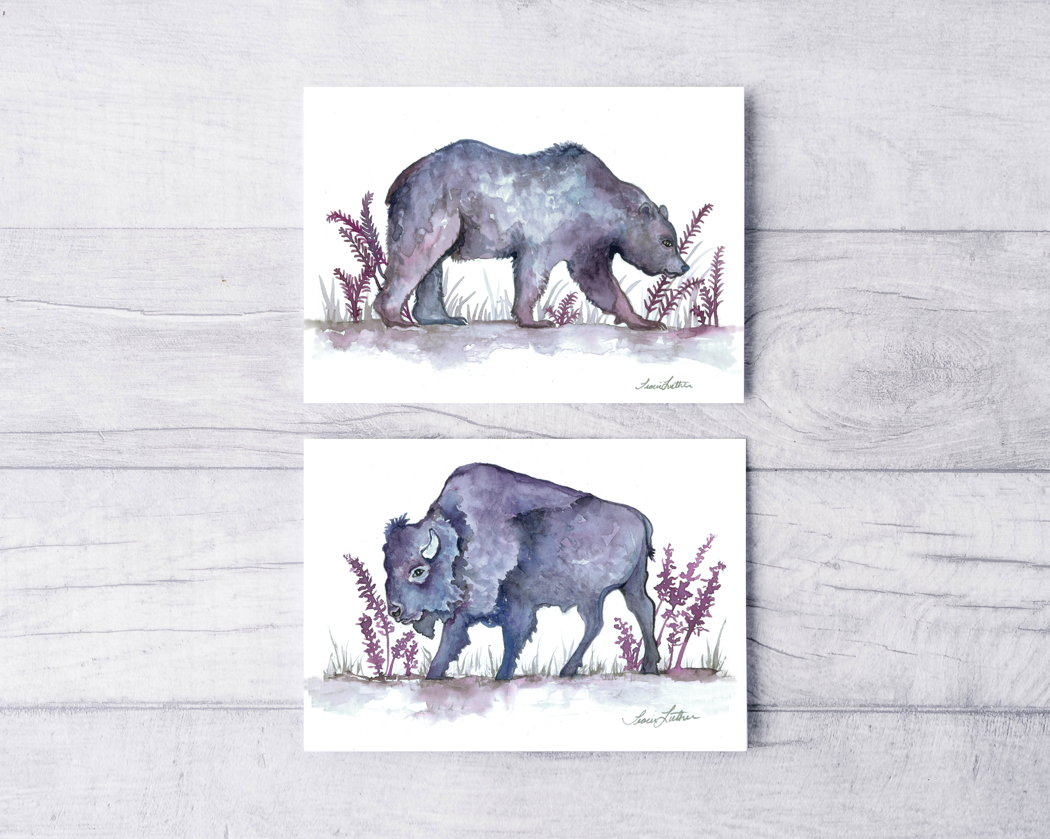 Purple Bear and Buffalo Greeting Card Set