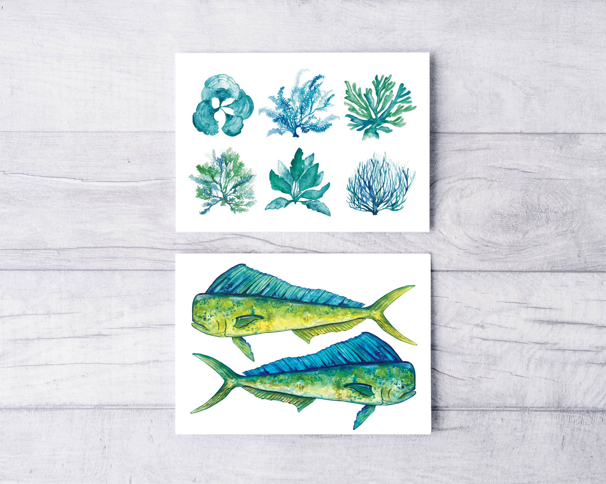 Corals and Mahi Mahi Greeting Card Set