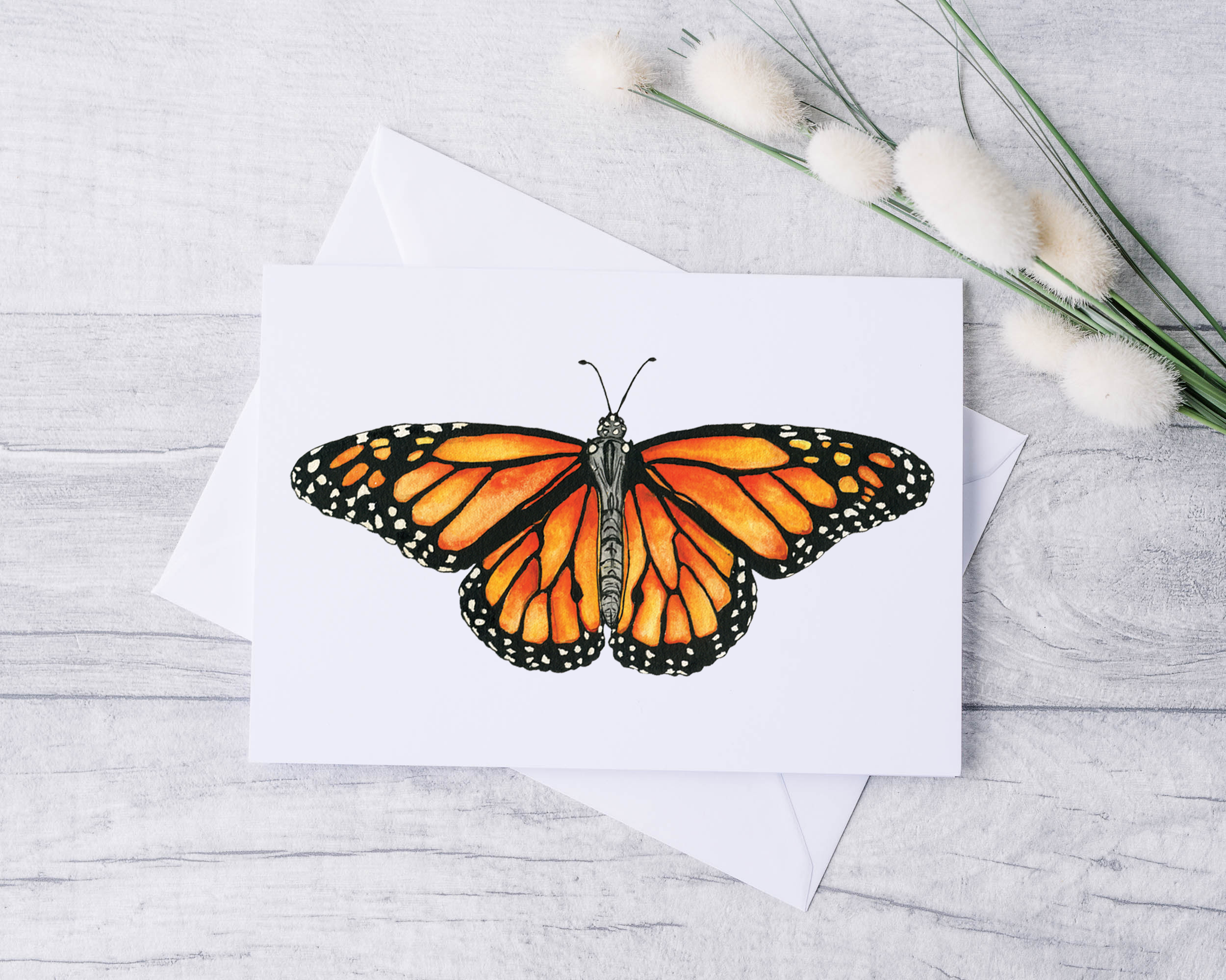 Monarch Butterfly Greeting Card